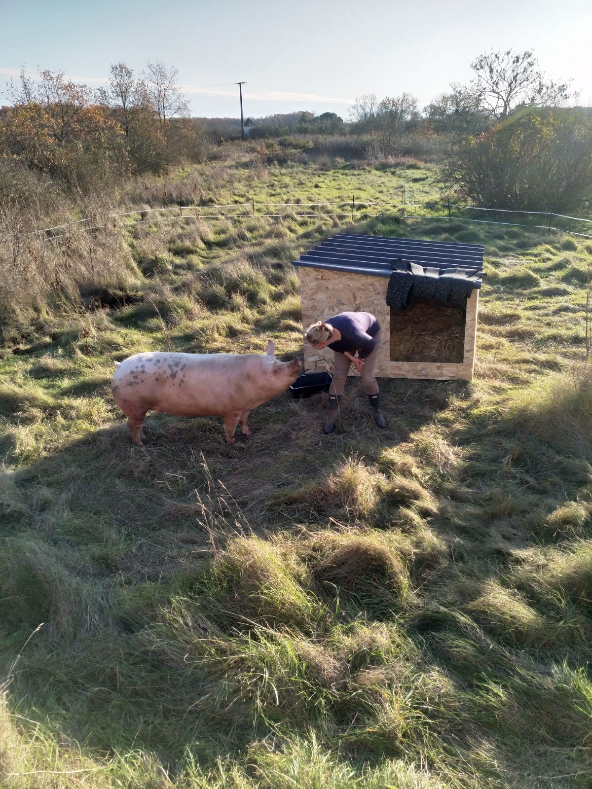 Joyce and Rose. Joyce is one of our rescues 