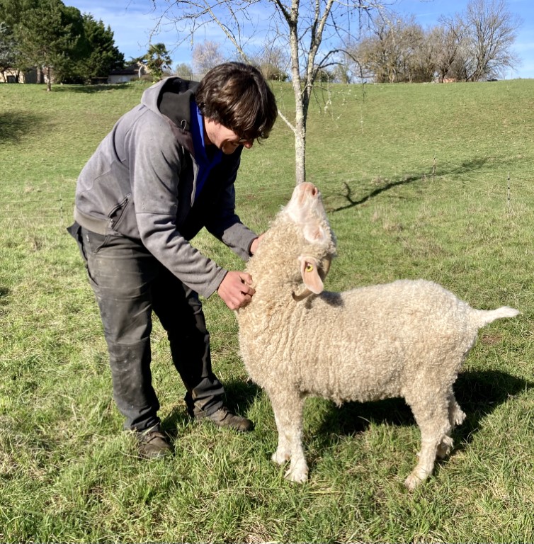 Oranger loves a good scratcher