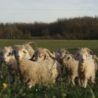 Les garçons rentrent pour la nuit