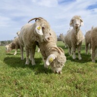 Oasis and daughter Savannah