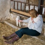 Rose with Una and Uma March 2023 - Cover image on our Gallery page