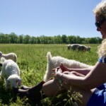 La Galerie Magnifique Mohair