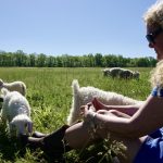 La Galerie Magnifique Mohair